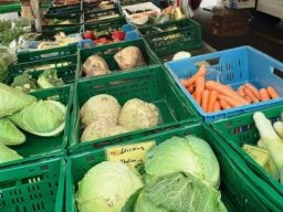 Grüne Körbe in denen Gemüse angeboten wird. Darunter Möhren, Weißkohl und Porree